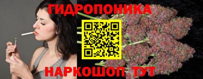a pvp Краснознаменск