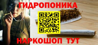 a pvp Краснознаменск