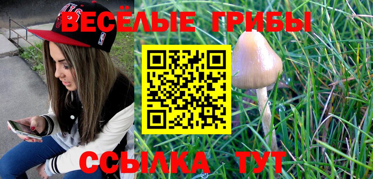 Тихвин  Псилоцибиновые грибы мицелий  Галлюциногенные грибы Cubensis  Вход с VPN 